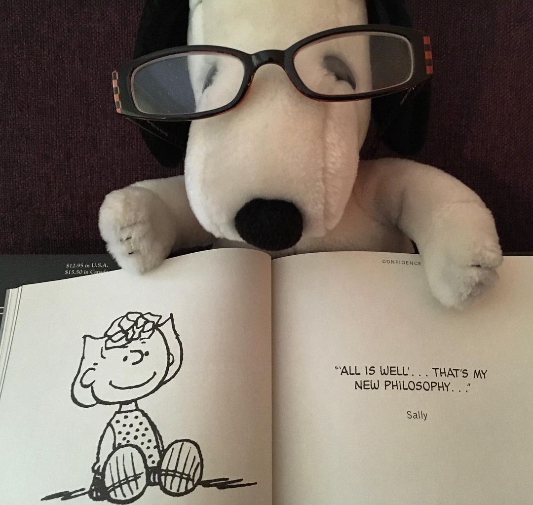 DailySnoopys's tweet photo. https://t.co/dqgcwZxFPi