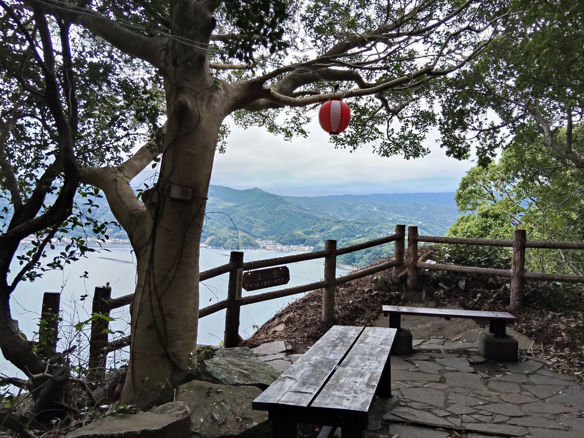 ugu_dango's tweet photo. 淡島神社道中のテラスにて
少し木が伐採されて開けたかな？
景色が良くなってる！ https://t.co/61RUSbLFPH
