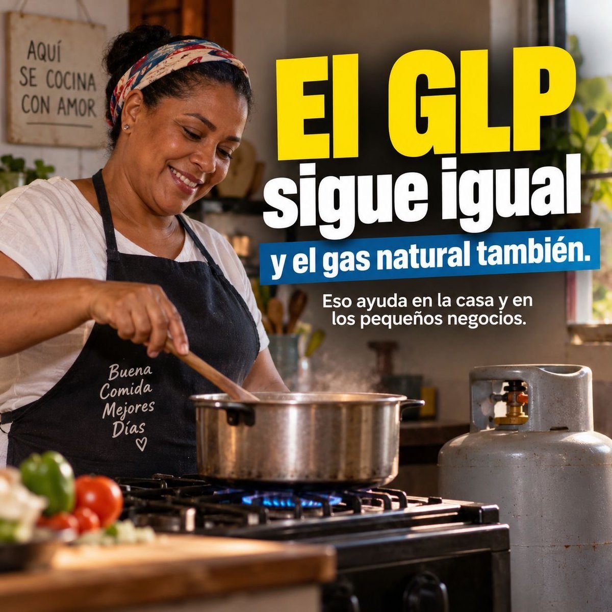 ktaverasd's tweet photo. Los combustibles que importamos son refinados; por eso, el precio del barril de petróleo no refleja por sí solo el costo que enfrenta el país. Esta semana, el Gobierno destina RD$1,770.65 millones a contener las alzas y mantiene congelados los precios del GLP y el gas natural. Aun así, el aumento internacional obliga a realizar ajustes moderados, mientras el Estado sigue subsidiando cada galón.

Con responsabilidad y transparencia, protegemos la economía de los hogares y del país. #PlanAnticrisis #RepúblicaDominicana