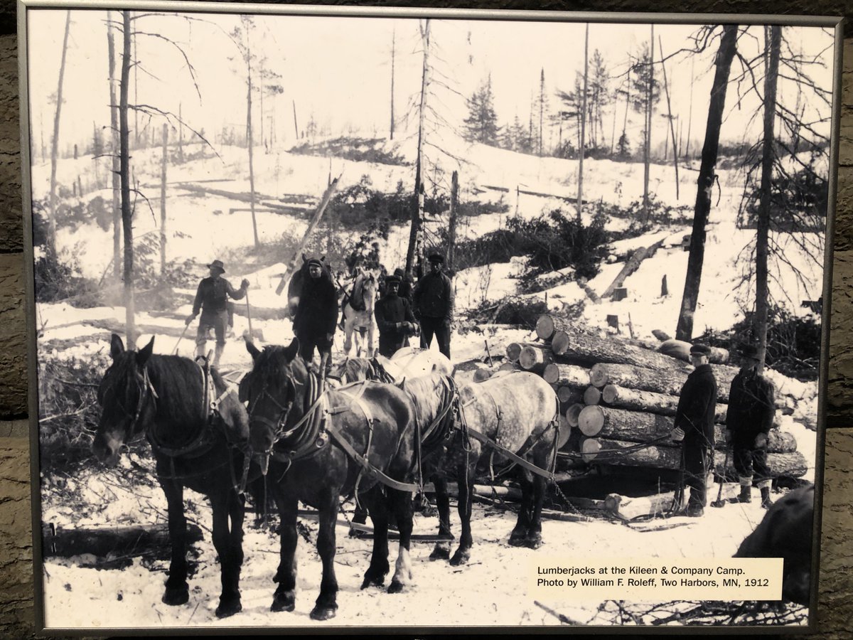 RuralRouteUSA's tweet photo. big lumber https://t.co/L4KtFQjyxU