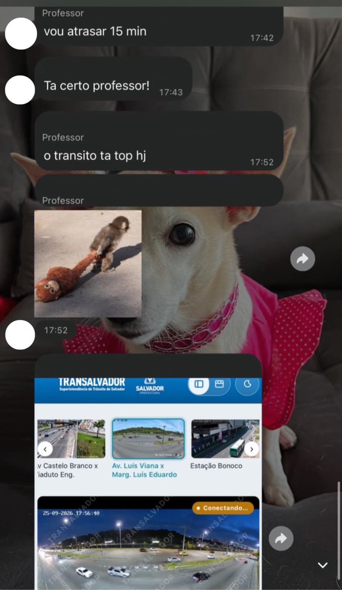 downselenag's tweet photo. Professor dando desculpa que se atrasou por conta do transito e o colega simplesmente pegando as imagens das cameras da cidade e mandando print https://t.co/8Tj0EfQLUM