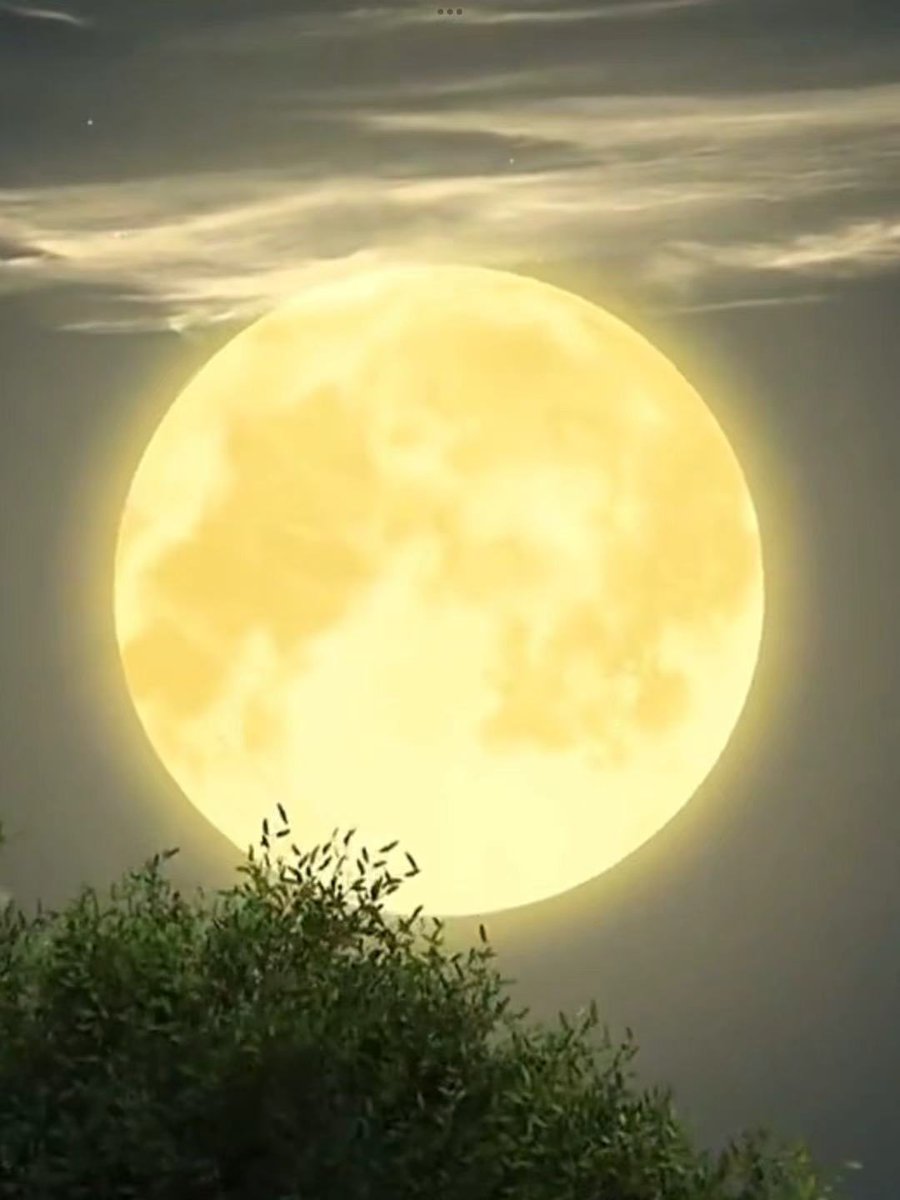 xiaoyals8p's tweet photo. This life, this night, is fleeting; where will we see the bright moon next year?
Wishing every good friend a happy Mid-Autumn Festival.
Cherish the good days, cherish the people in front of you https://t.co/mbpwgDxDK0