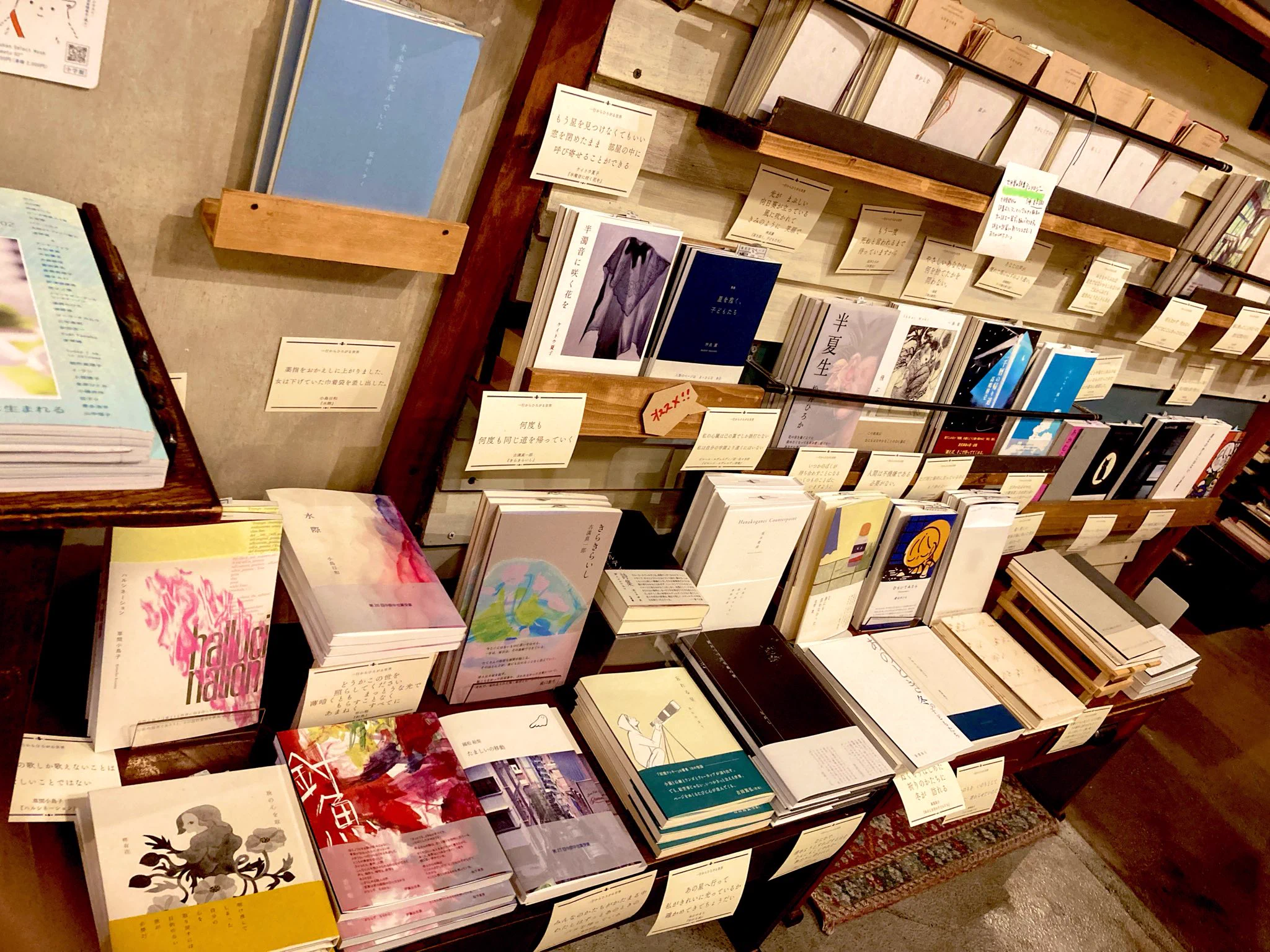 本屋イトマイ على X: 