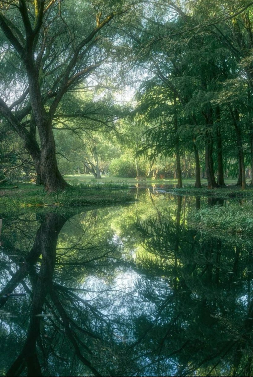 7PCsqDeriYG4xI5's tweet photo. [The embedded ripples speak volumes—what a remarkable journey.]， https://t.co/EHarR8gA8P