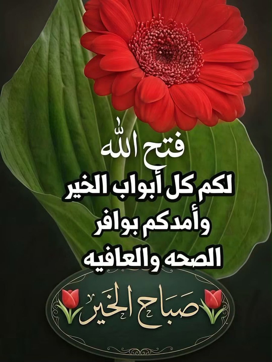 mmdmd05312199's tweet photo. @talebatalgofran جزاكم الله خيراً وبارك الله فيكم https://t.co/PhE6hJfy3j