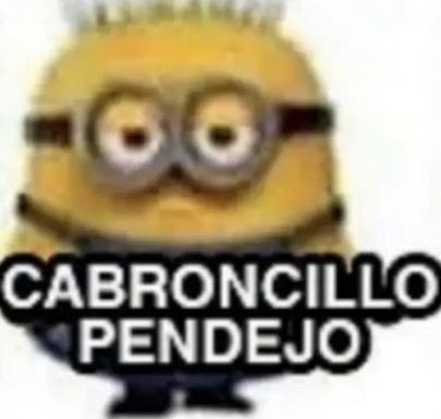 oqlvrg's tweet photo. @zelamaakeonho @sttrawberried q te pasa pemdeja, mañana tu casa llena de plomo alv https://t.co/EcW6mgUYux