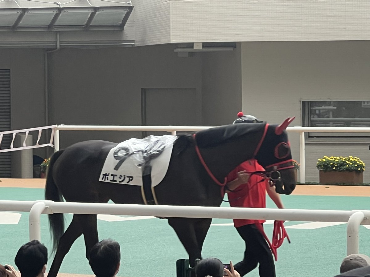 Only_Shine0418's tweet photo. ポエジア 雰囲気は悪くなさそう https://t.co/F7ZxzzNTqF