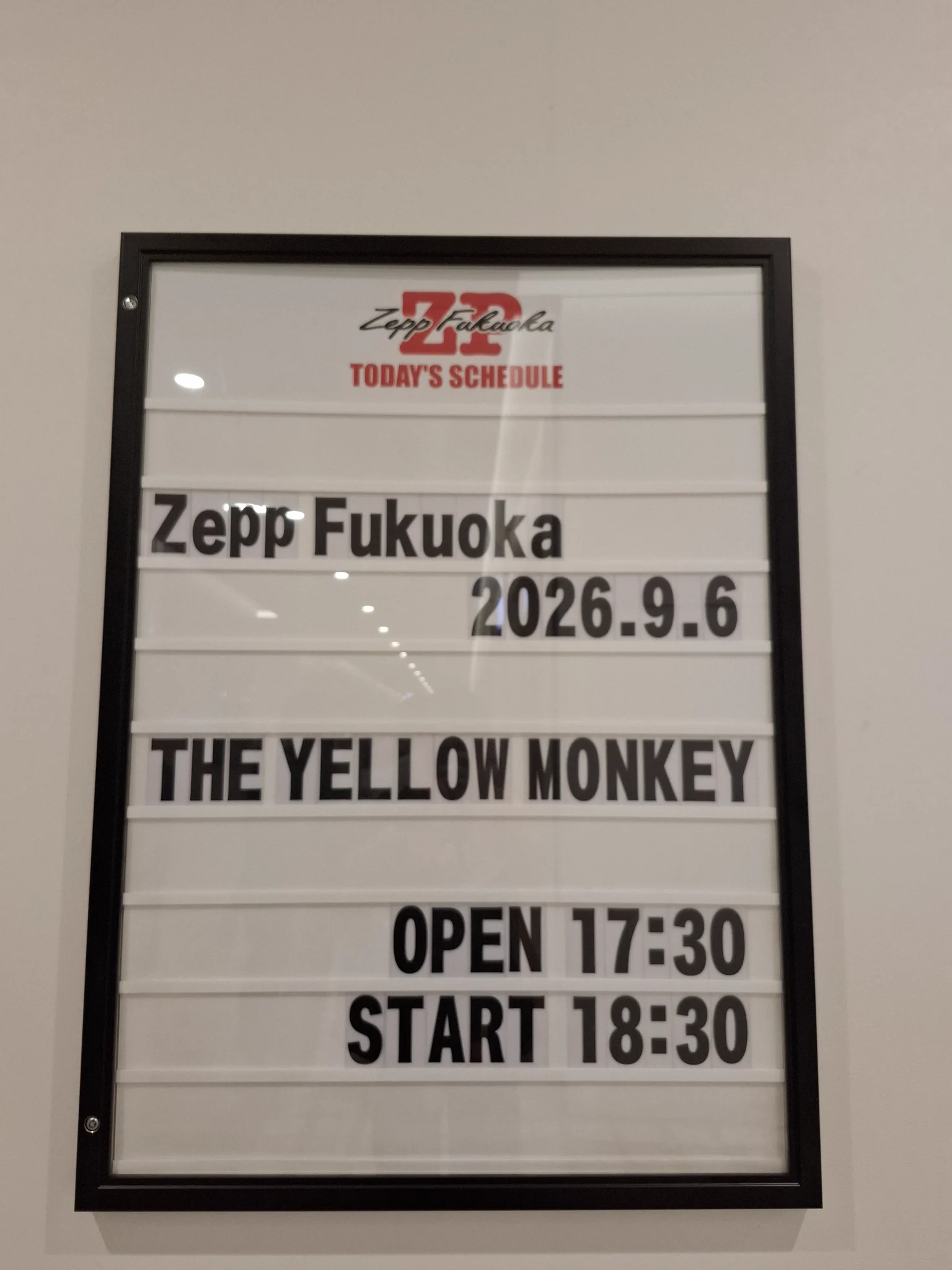 マルチー👑🐒🦑 on X: 