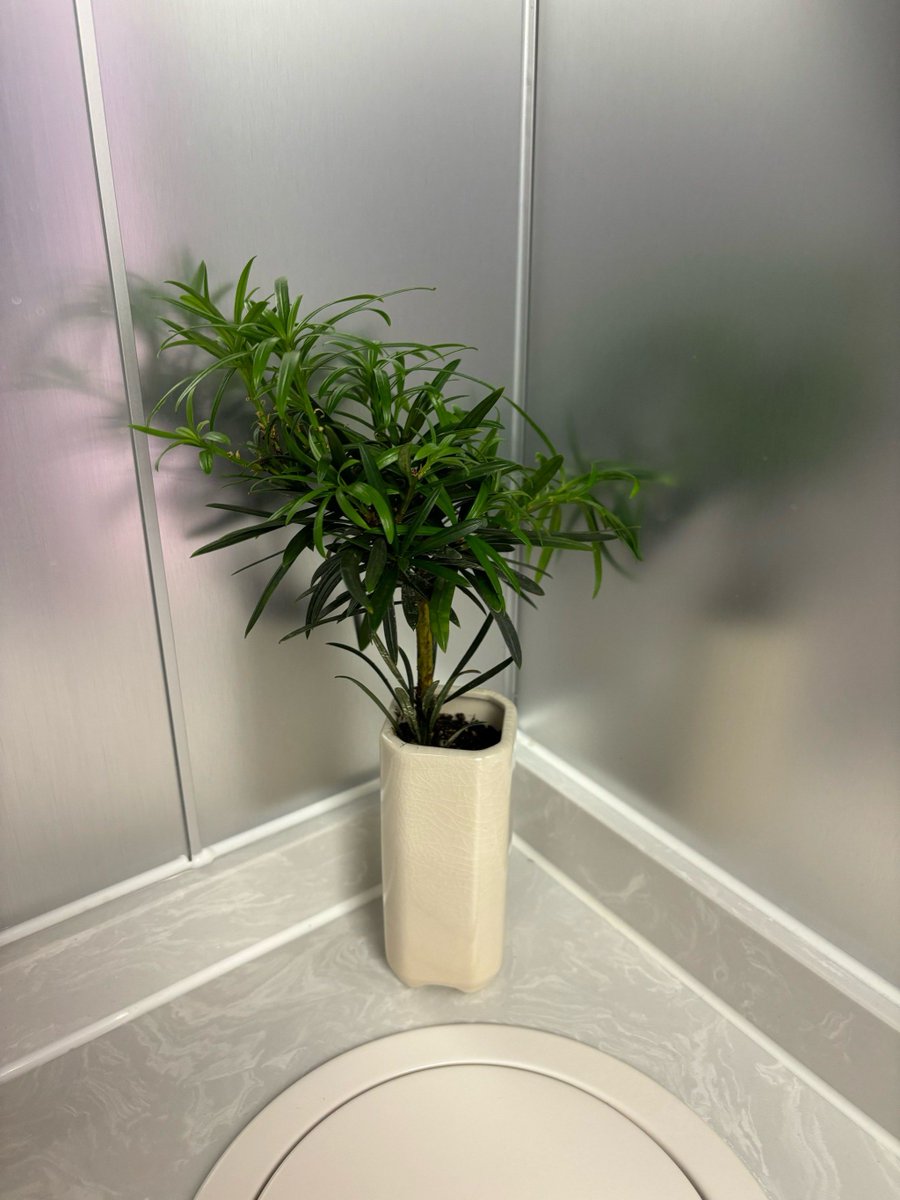 ConsuelaWev3vm's tweet photo. Spent 10 mins arguing with my office plant this morning—its leaves looked “too droopy” so I tried giving it a pep talk. Turned out the sprinkler was just aimed at the wrong spot. Oops. https://t.co/tfH3rxFbNq