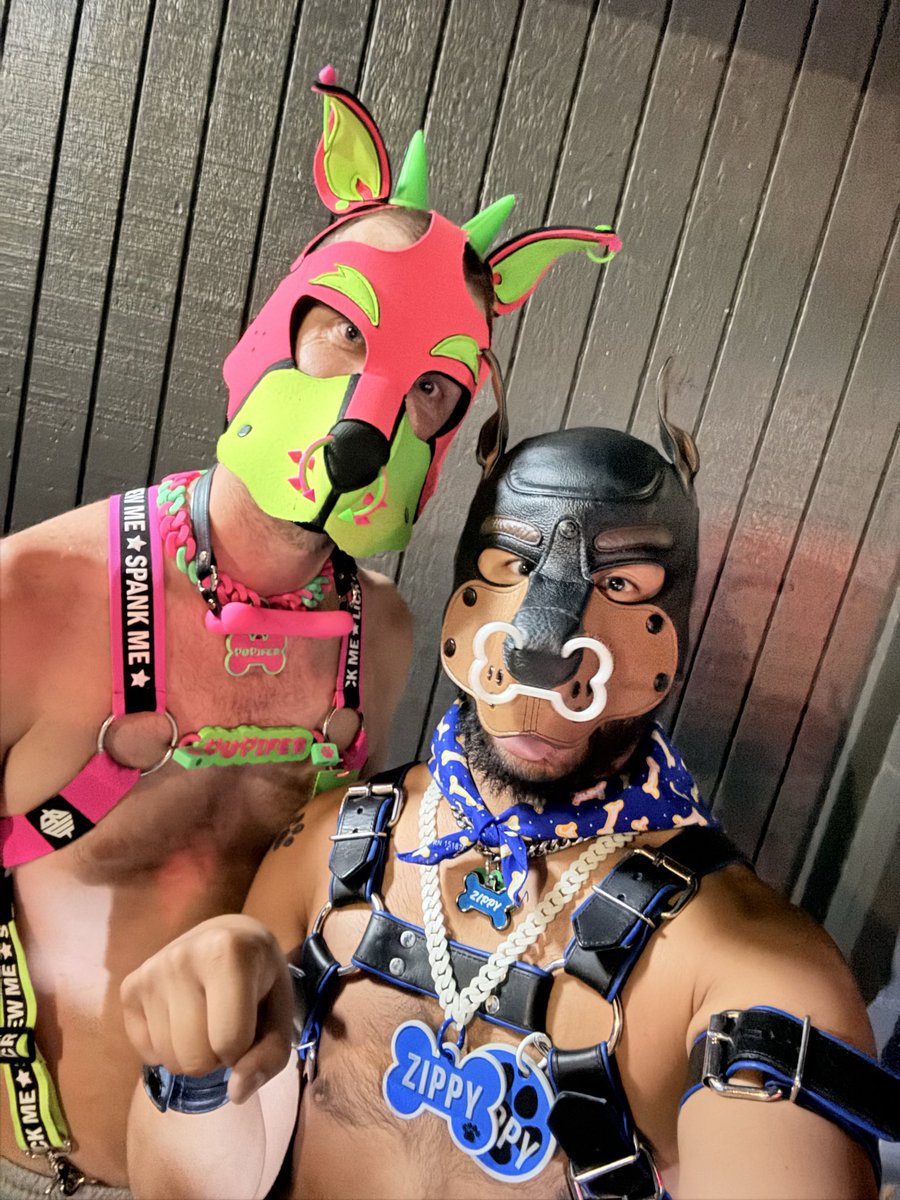 pupzippyxxx's tweet photo. 🩷💚🍉✨ To the pinkest kinkiest watermelon pup I know, Pupifer thank you for being a friend and introducing me to the bright colorful raver pup community. @bound_2_be_used #gaykink #gaypup #gayrave #pupplay #leatherpup https://t.co/fMlTs5YMji
