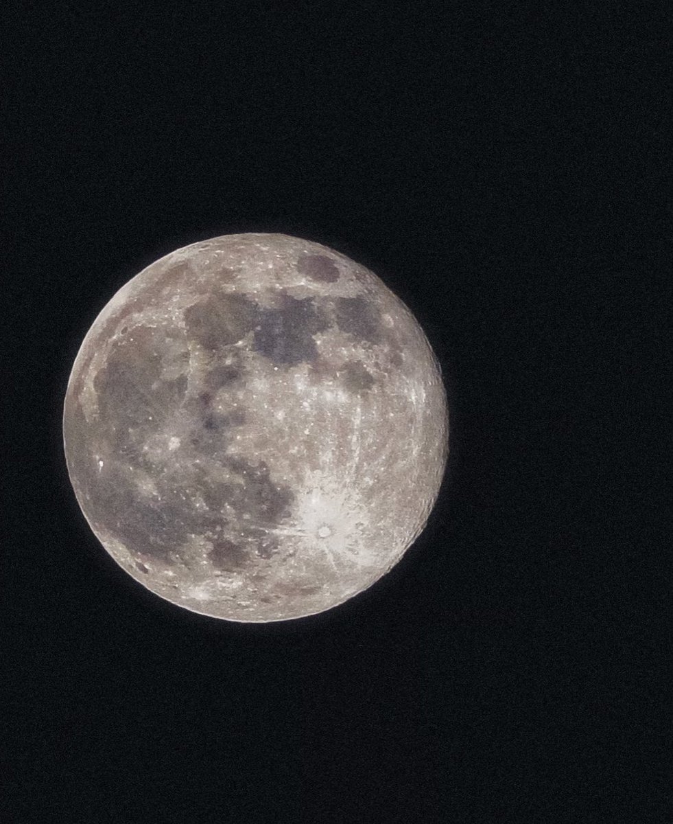 nxvxmbr's tweet photo. hold me like the moon through the night time https://t.co/PW7wl7mAWg