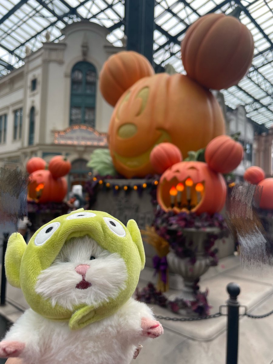 mameta_86_'s tweet photo. はろうぃん🎃 https://t.co/yCcm2IJNDj