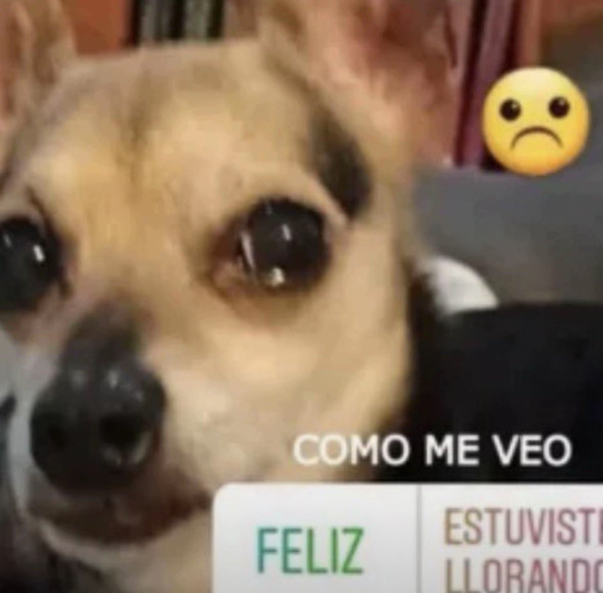oqlvrg's tweet photo. @sttrawberried ya no voy a citar nada ps 💔💔💔 https://t.co/ijxPDqM3NJ
