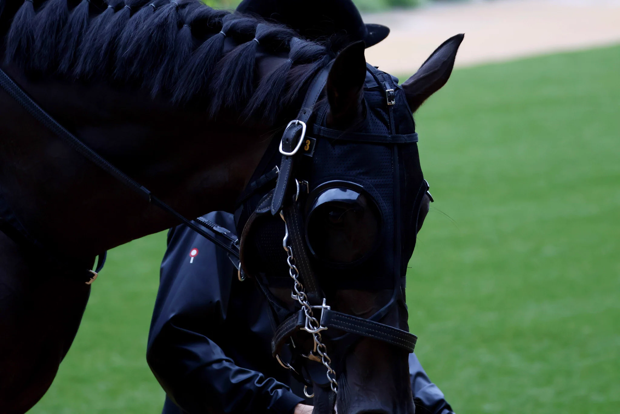 睦月ページです♥️ 睦月（・◡・）🐴 on X: 