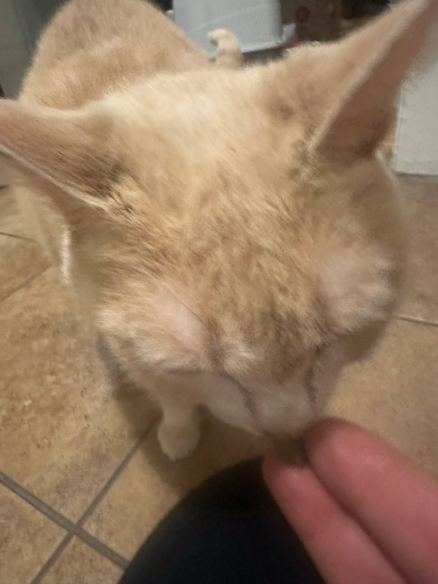 NoirPhilosopher's tweet photo. Grandma was given treats for entering Goop https://t.co/yZRec7hxpQ