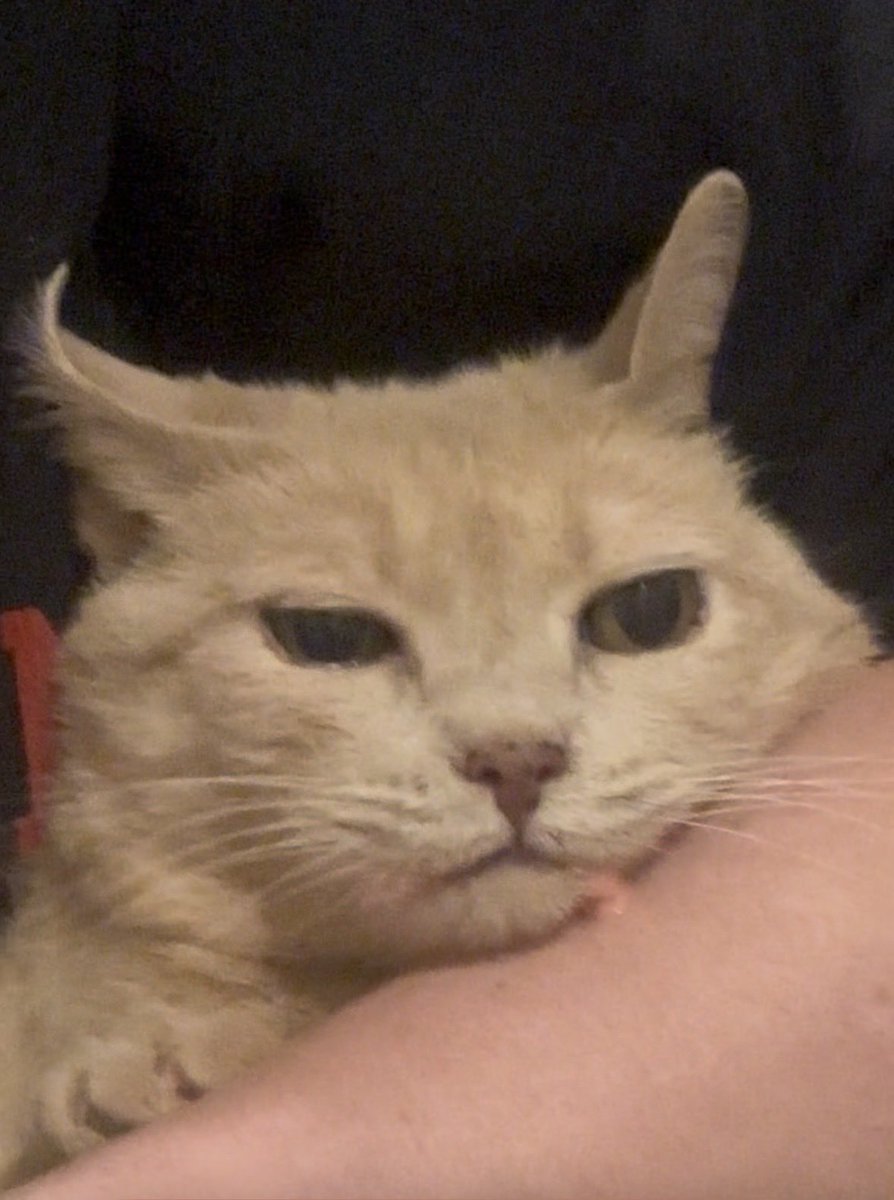 NoirPhilosopher's tweet photo. Grandma was given treats for entering Goop https://t.co/yZRec7hxpQ