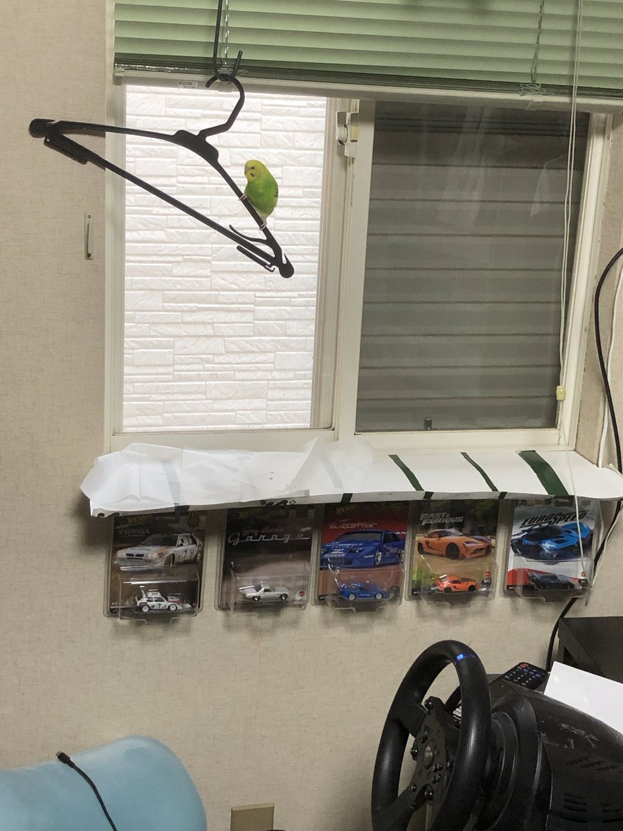 chibi4kozakura's tweet photo. #ミニカー
#hotwheels
一応完成、ジョーシンの箱の中にはプロテクターに入った予備が待機中
左が棚を隠すように置いて、中は衣装ケースの側面に貼り、右はコックピットの横に
合計81台展示、待機中33台気まぐれで入れ替える
もう1面（16台）欲しいな.... https://t.co/vCPNVyMkYv