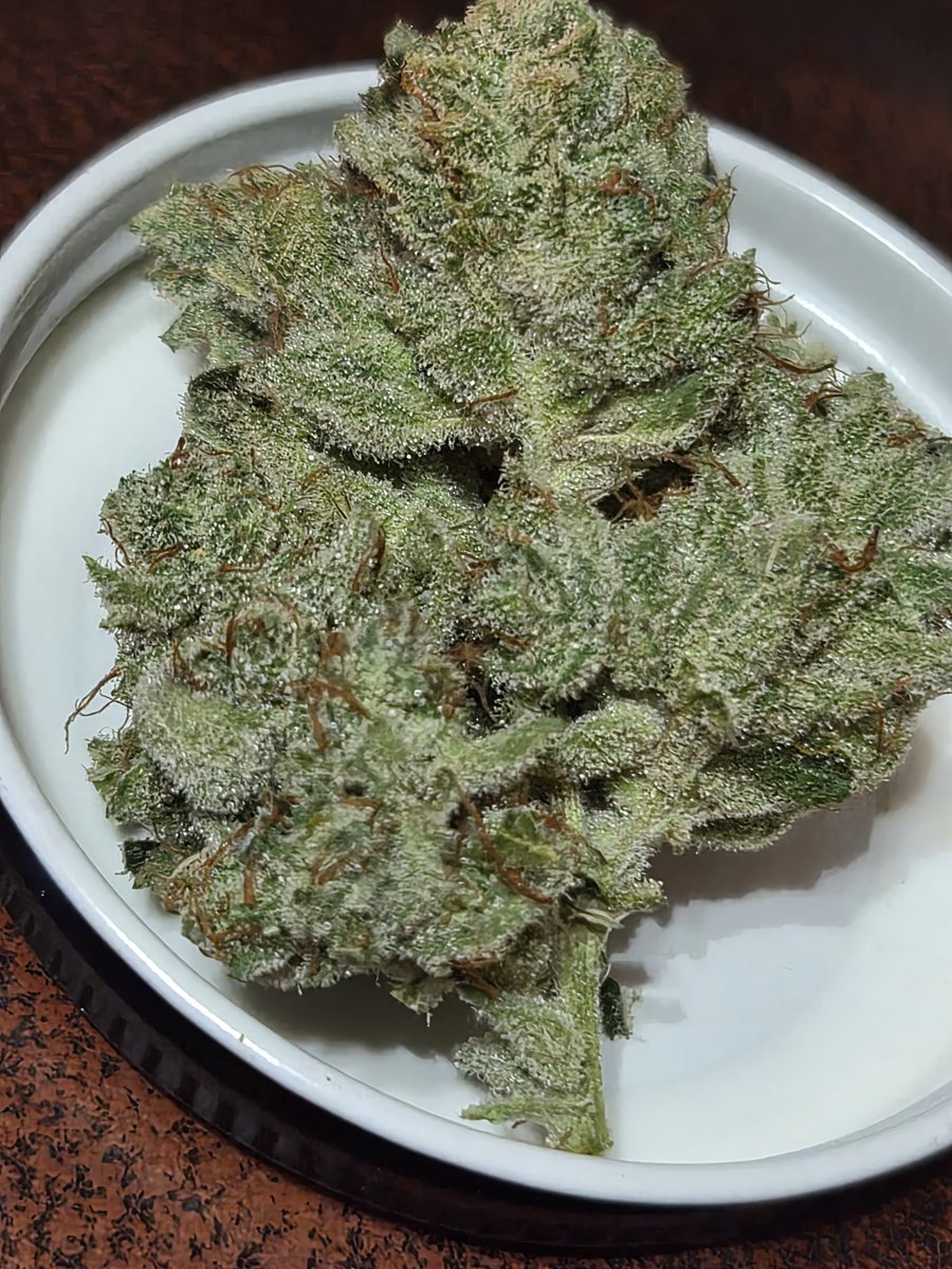 MrRiskyedibles's tweet photo. Giving away samples to get feedback, would love to see what the market outside of my city thinks of it.  🗽 grown indoors.  70 day GG4. https://t.co/bZTyNVXu2F