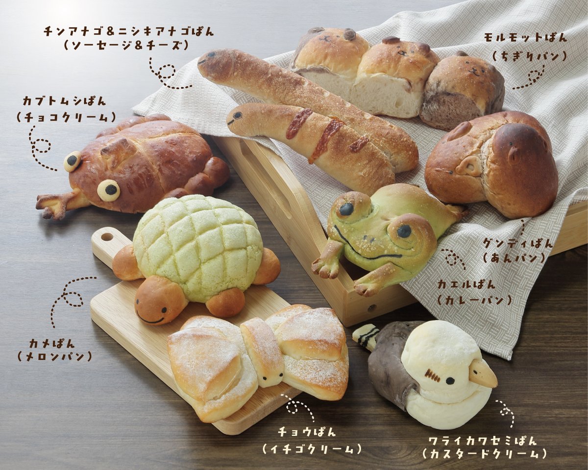 seibutuen_info's tweet photo. 本日、土日祝限定 #いきものパン 販売中！
雨のためか、珍しくこの時間でもまだ全種並んでいます！
ぜひ生物園2階ミュージアムショップまでお越しください！🍞
#足立区生物園 #数量限定
※売切れ次第販売終了となります。予めご了承ください。 https://t.co/GZNIUjWHDD