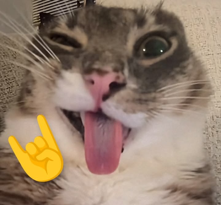 hlandy_gr's tweet photo. - Nossa mas eu não posso dizer isso
- Não Ivy, mas vc tá certa
- Ah então é isso ai msm parça, tô certo https://t.co/vPbNXhbBF8