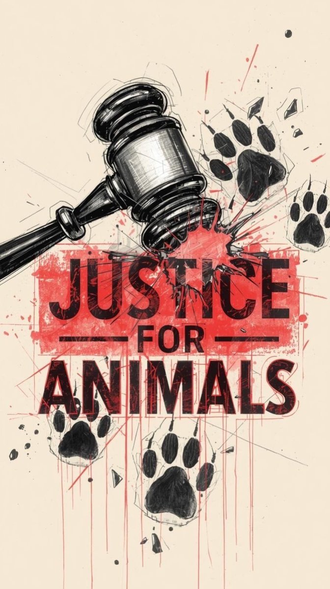 dogeshjantapart's tweet photo. Protect Indiaโs National Heritage Animal from unnecessary lifelong confinement.
Where individually suitable, explore rehabilitation and protected natural habitats.
@actorvijay @Samanthaprabhu2
#WhyTheChains #NoElephantsInTemples #StopElephantCaptivity https://t.co/1xY87tzgze