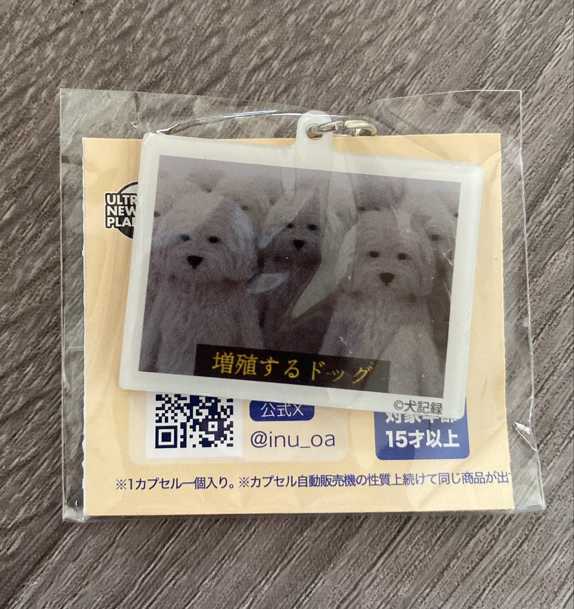 _210316_'s tweet photo. 犬記録 アクリルチャームマーカー Vol.2
かぷえぼカプセルトイ  交換

譲    増殖するドッグ

求    人生に犬がぶつかってきました。

郵送📮にて交換希望です。
お声掛けお待ちしております✨️ https://t.co/F9jgcAVNnX