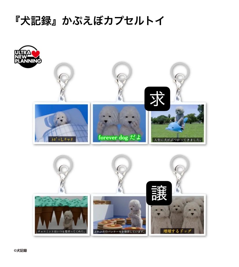 _210316_'s tweet photo. 犬記録 アクリルチャームマーカー Vol.2
かぷえぼカプセルトイ  交換

譲    増殖するドッグ

求    人生に犬がぶつかってきました。

郵送📮にて交換希望です。
お声掛けお待ちしております✨️ https://t.co/F9jgcAVNnX
