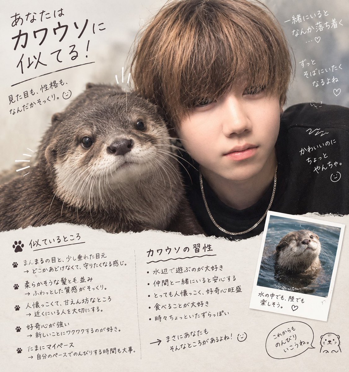 qd58278's tweet photo. 俺カワウソらしい https://t.co/lrpFwbkC4T
