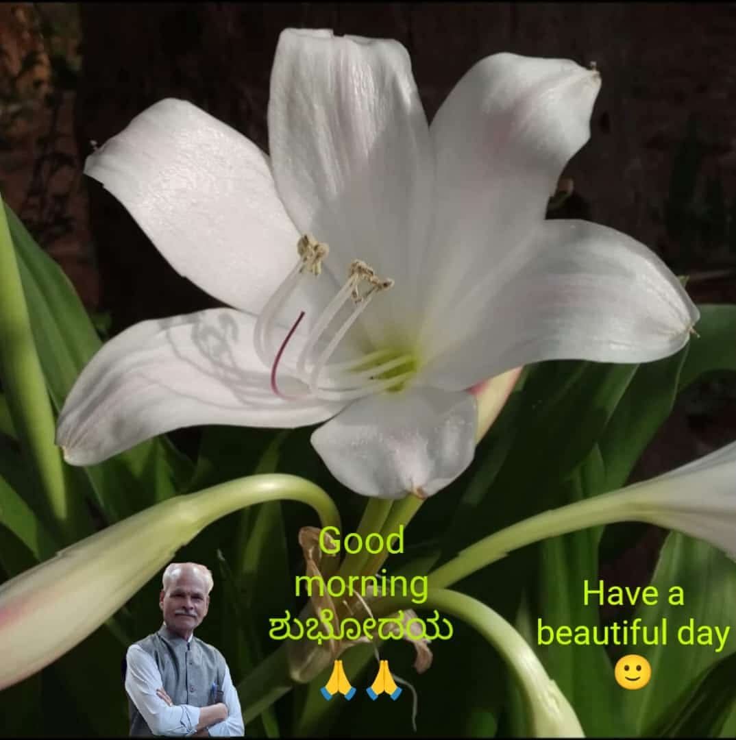 BanakarNagappa's tweet photo. 🙏🙏 https://t.co/EY4z1AXx5t