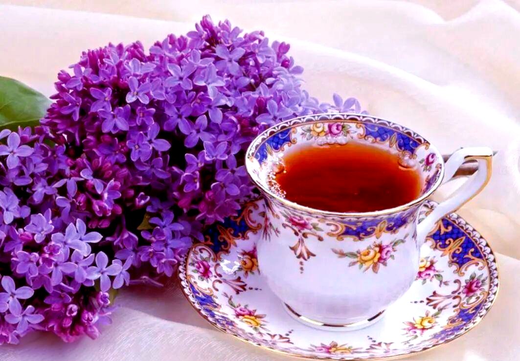 NorbertoNaz5's tweet photo. [Quick u0026 cozy iced lavender honey latte recipe for your Monday morning! Brew espresso, add 1 tbsp honey, a splash of oat milk u0026 a dash of dried lavender syrup over ice. Sips like a soft hug in a cup ]， https://t.co/q4u3nO63UX