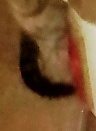 PriXM1970's tweet photo. @jonathanroumi65 I bet I'm better than anyone at spelling Sorry? Hi hi Taylor hey do you by chance own one or two planes I happen to see and hear outside my home love love you Taylor sometimes I call our new kitten Ophelia or Showgirl or Tortured Piet https://t.co/8YYVK2kJzX