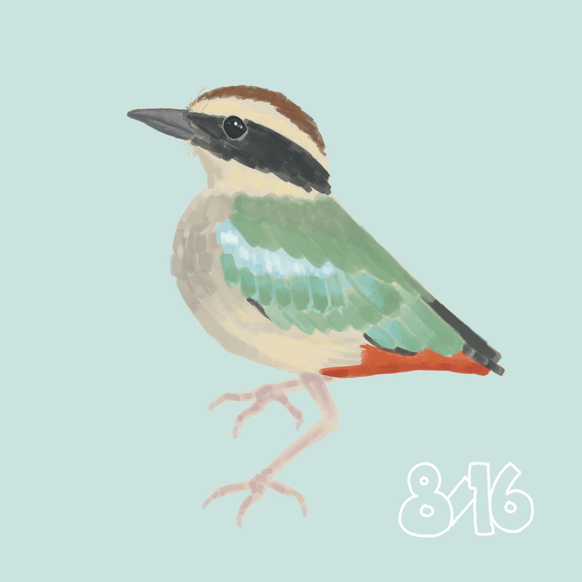 kiuminooo's tweet photo. 8月16日_ヤイロチョウ_変幻自在
#イラスト
#365日 https://t.co/s88yETELnc