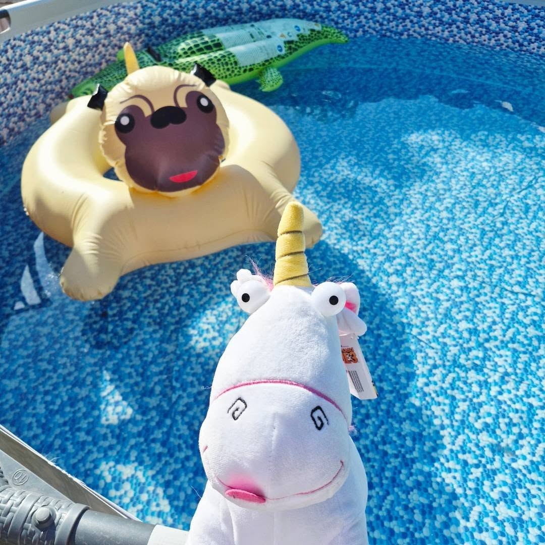 ALovrec's tweet photo. Just a girl and her unicorn. I never thought I’d find the Despicable Me unicorn plush, but a toy sale brought us together. We’ve been inseparable ever since. Here she is enjoying this glorious weather. https://t.co/EXUrlhxkRq