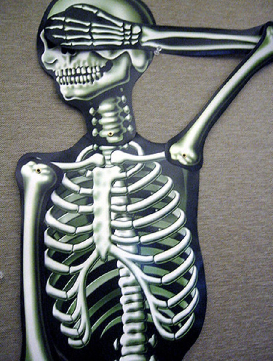 bonniegrrl's tweet photo. Current Mood… 💀 https://t.co/LhKmIpm6bK
