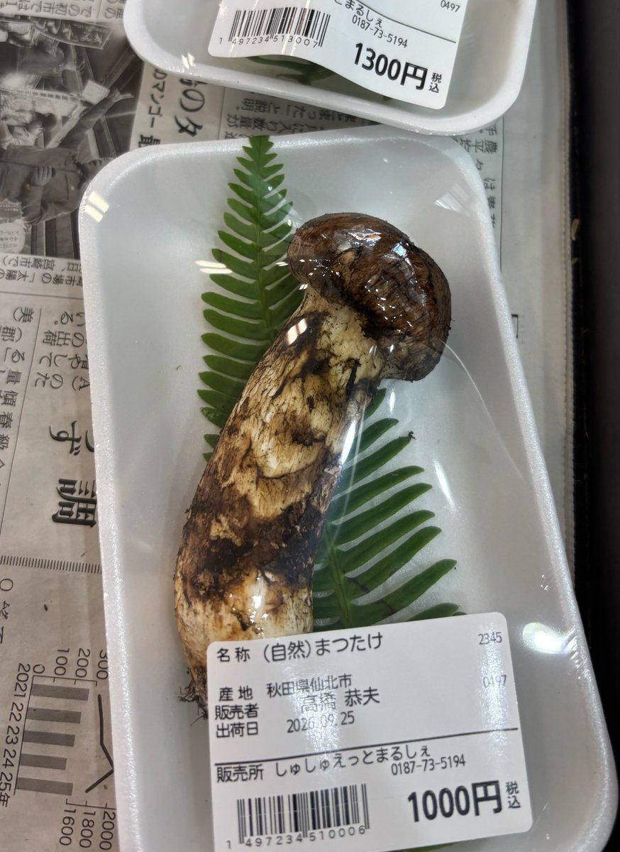 pj5hjc's tweet photo. ぼだっこ飯買いに秋田来たんだけど何だこの値段！？ https://t.co/lUMxRUEi6a