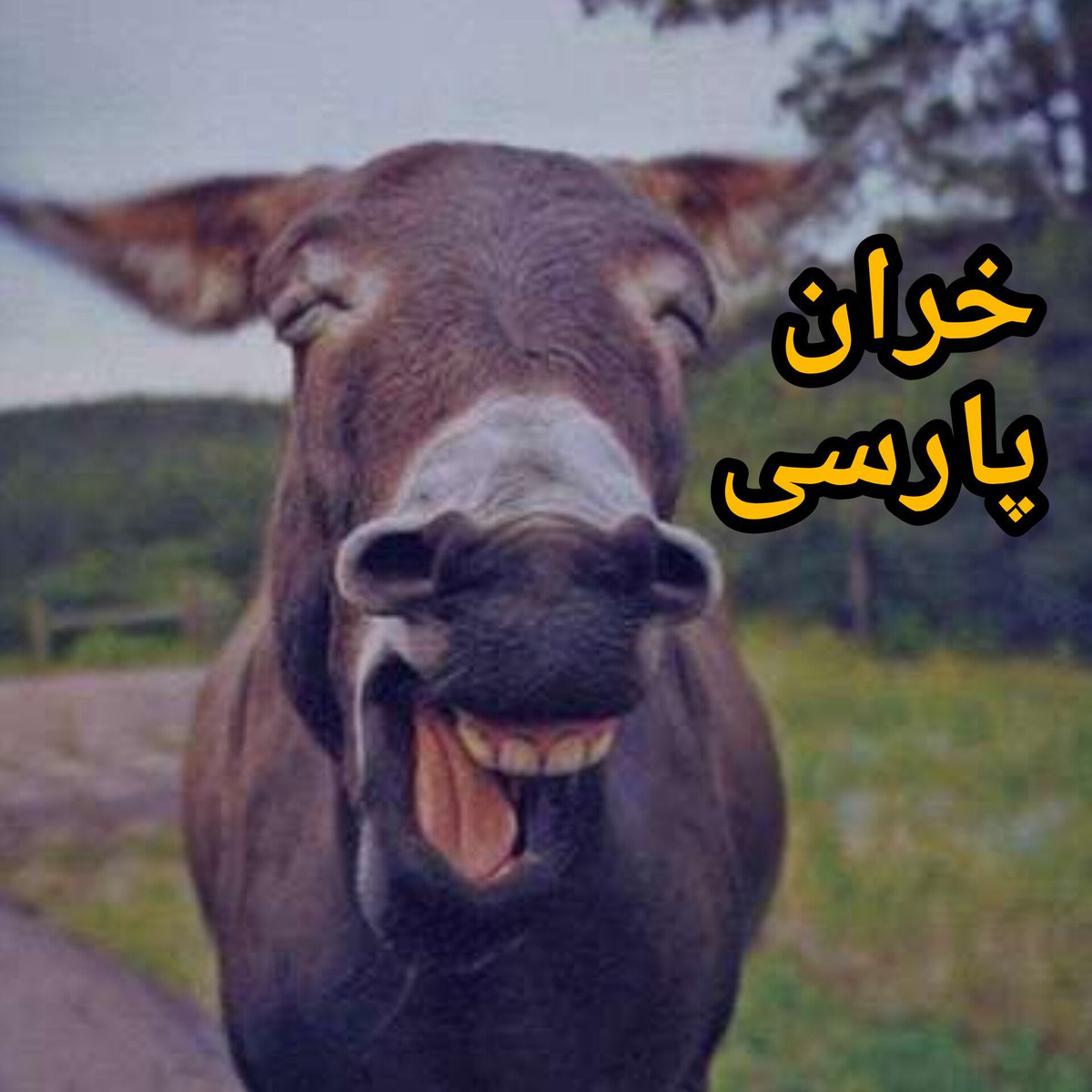 kartalmatrix's tweet photo. @mk_g0625 @bobaknami @antipantork1 بله متوجهم 👇👇👇 https://t.co/W4nAfsY07L