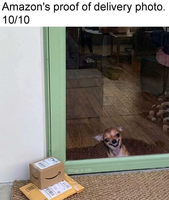 deborah_bucher's tweet photo. 😁 https://t.co/E7jAoYgHdn
