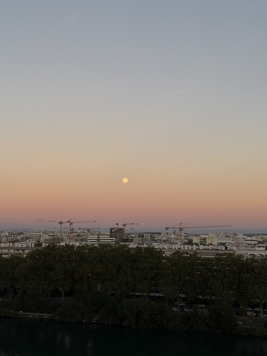 Kyssa69's tweet photo. lyon et ses grues https://t.co/Yq5TiPKiQp