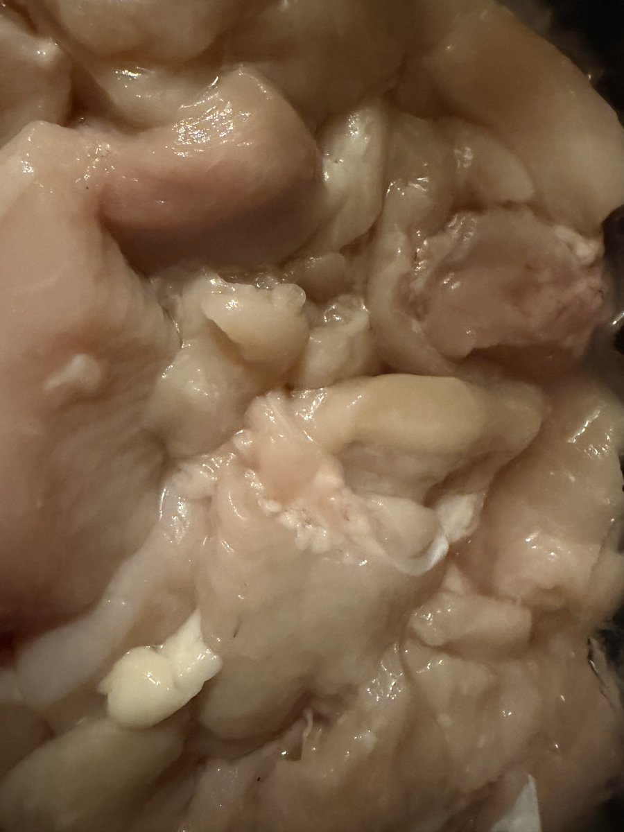 Jo_Bart26's tweet photo. @sainsburys opened up the below chicken to cook earlier today &amp; could see the discolouration of the chicken &amp; the smell was foul 🤢

This was brought Wednesday &amp; was the longest date available. It’s been kept in the fridge ever since. 

Unfortunately it ruined dinner, any advise? https://t.co/74zfkbLhWi