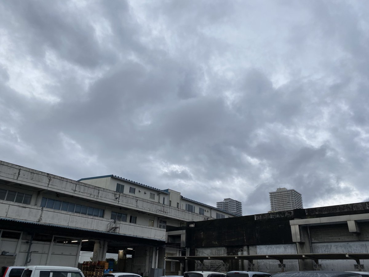 gggGarapon's tweet photo. おはようございます。
今日はあいにくの雨ですが、バーベキューの具材を買いに足立市場へ。
大内商店＠ouchifishers でカニ🦀蛤、ホタテ、カキを購入。昨日買えなかった肉🥩も購入٩( 'ω' )و https://t.co/uMQ9BJcRjy