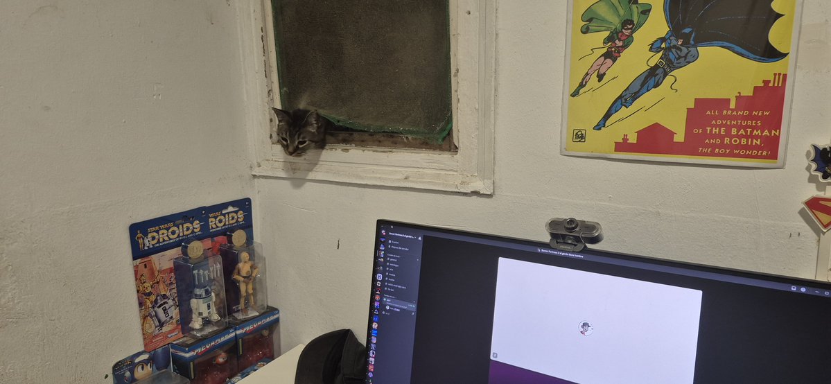 doctah_wahwee's tweet photo. Theres a CAT in my window https://t.co/qewLbHB7u4