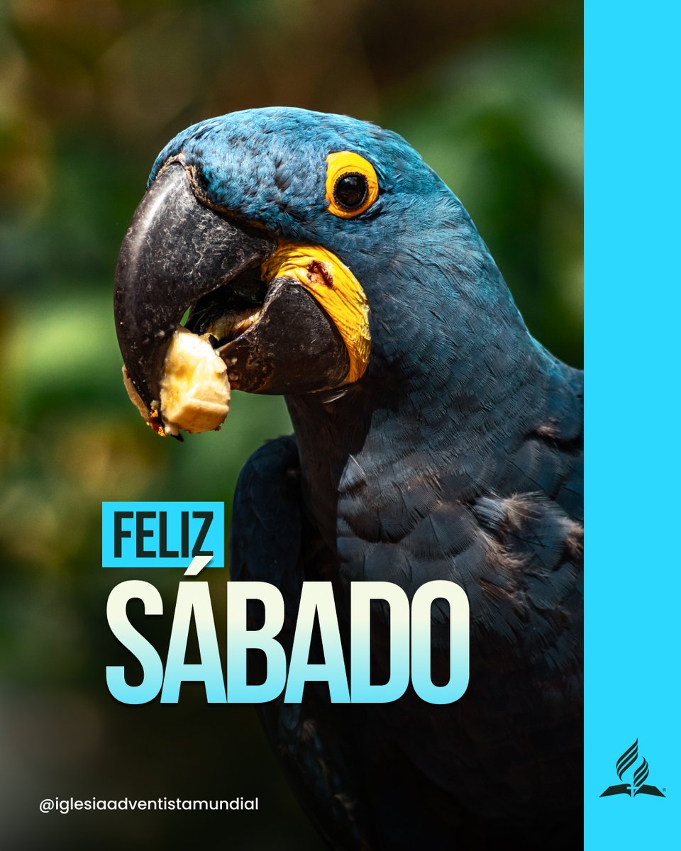 AdventistasEsp's tweet photo. Que hoy no sea un día cualquiera, sino el día en que sientes que Dios está cerca, que te habla y que te ama. ✨🙏 https://t.co/li1ZzFP6hS