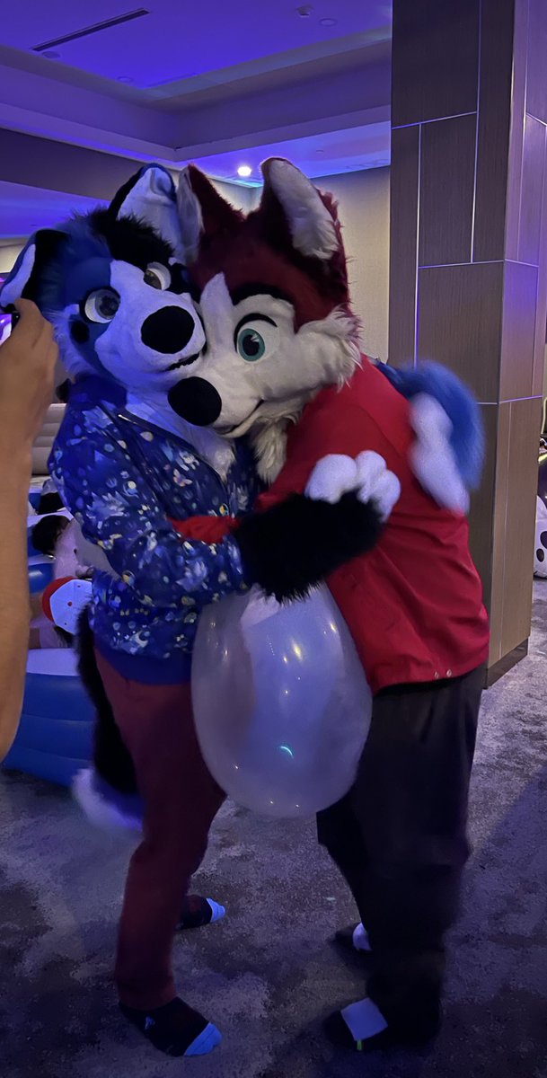 Hachi_Shibaru's tweet photo. For #FursuitFirday, I’m sharing some pics I got with and of @HiroHassuki and @WhiskeyStag at @PoolToyParty during #ASC2026! :3 They’re both super cute! x//3

📸: @Alpha_WhiteFang, me https://t.co/Sv2EGqiuw7