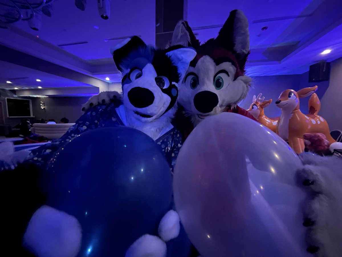 Hachi_Shibaru's tweet photo. For #FursuitFirday, I’m sharing some pics I got with and of @HiroHassuki and @WhiskeyStag at @PoolToyParty during #ASC2026! :3 They’re both super cute! x//3

📸: @Alpha_WhiteFang, me https://t.co/Sv2EGqiuw7