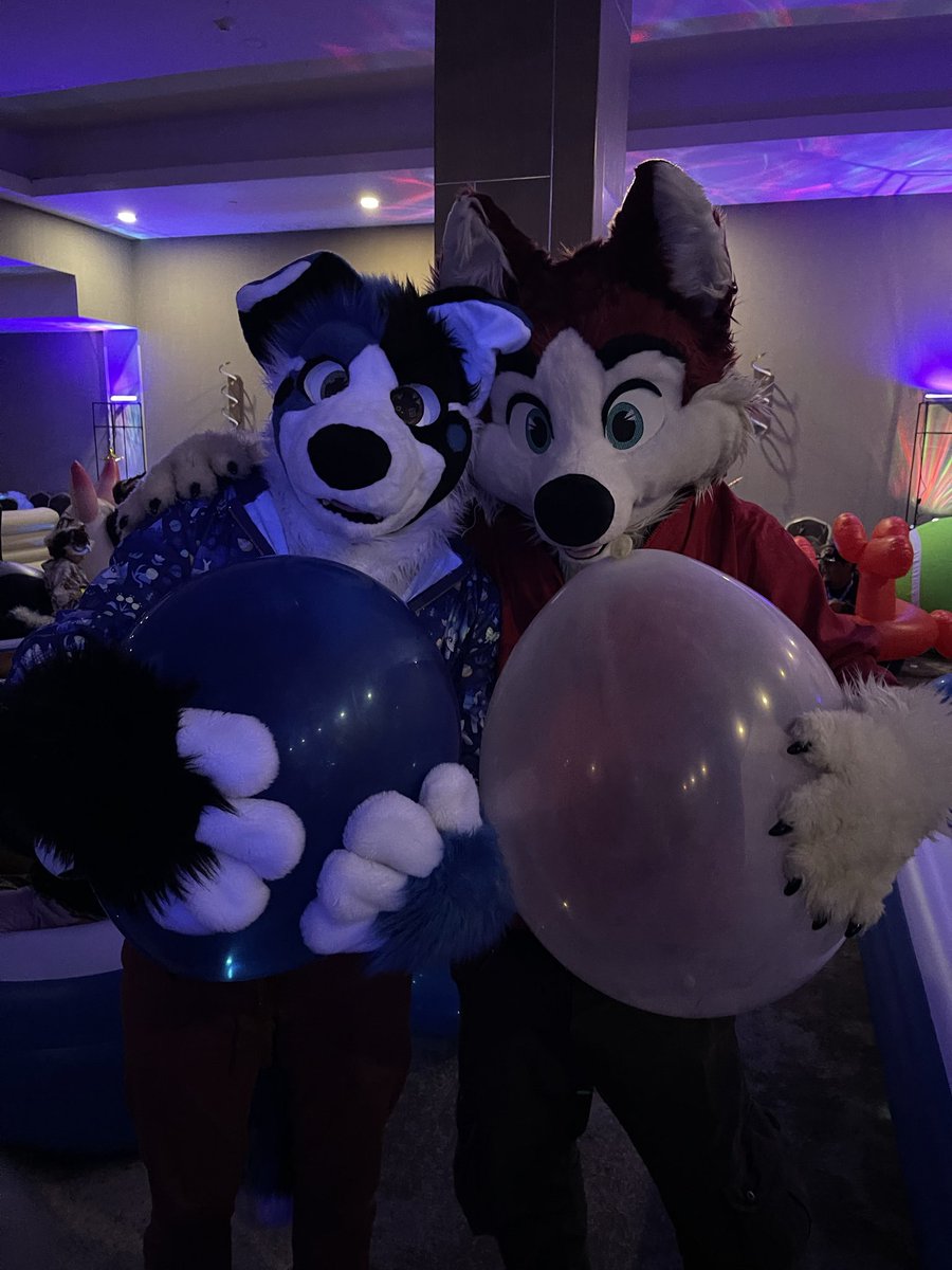 Hachi_Shibaru's tweet photo. For #FursuitFirday, I’m sharing some pics I got with and of @HiroHassuki and @WhiskeyStag at @PoolToyParty during #ASC2026! :3 They’re both super cute! x//3

📸: @Alpha_WhiteFang, me https://t.co/Sv2EGqiuw7