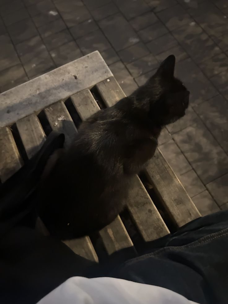 bisstille's tweet photo. Ele me seguindo.  🥺🥺 https://t.co/HgpmKk41lO