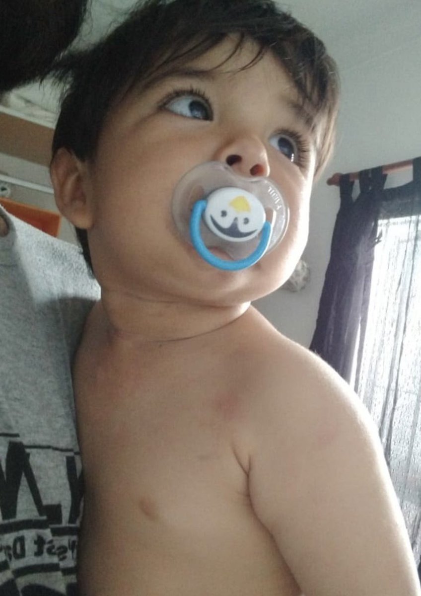 epiicardo's tweet photo. que ganas de tener un hijo lpm

eso es lo que diria si no estuviera en fake quiero que todos saluden a mi hijo muerto que reviví https://t.co/WvdeHWQmJP