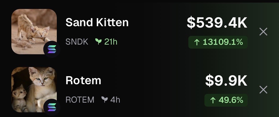 ares2_'s tweet photo. doesn’t make sense to me that the actual name of the sand kitten $rotem will not send with $sndk

HXtM9NjCiPVb5zfvHNB33S76nufyQu2fvrFNDvNYTfNL https://t.co/k2eUnncwPq