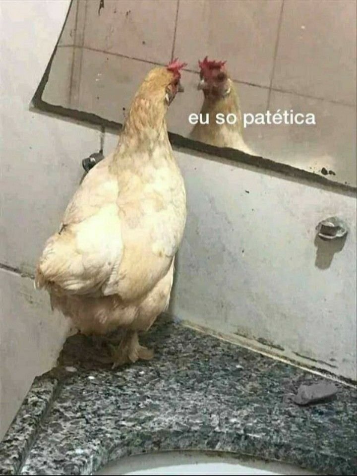 Navszsvan's tweet photo. Eu sempre me sinto meio assim nos espelhos da academia https://t.co/5BQNZfPFqa