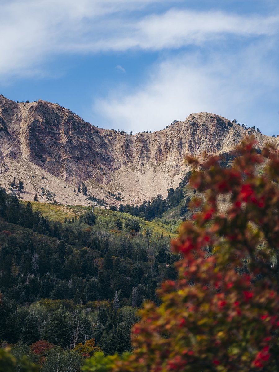 SnowbasinResort's tweet photo. Not always sure how to describe Autumn in Utah⛰️🍁🍂

But it sure is special.🧡

Scenic gondola rides will be running all weekend long! Come on up &amp; see it for yourself! 🚡

🗓️ Saturday &amp; Sunday (9/26 - 9/27)
🚡 12:00 PM - 6:00 PM
🚗 FREE Parking https://t.co/MfWr7RrNCQ
